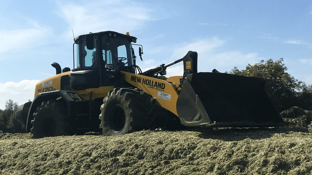 Tassage de silo ensilage herbe