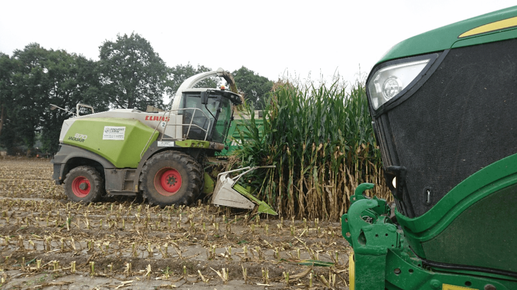 Prestation ensilage maïs Loire-Atlantique