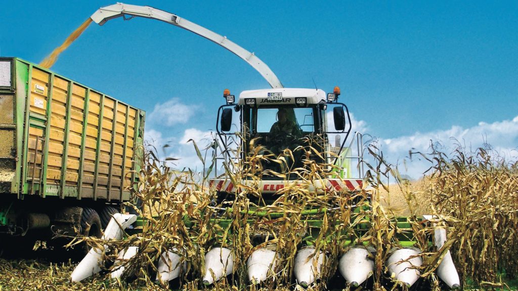 Prestation ensilage maïs épi